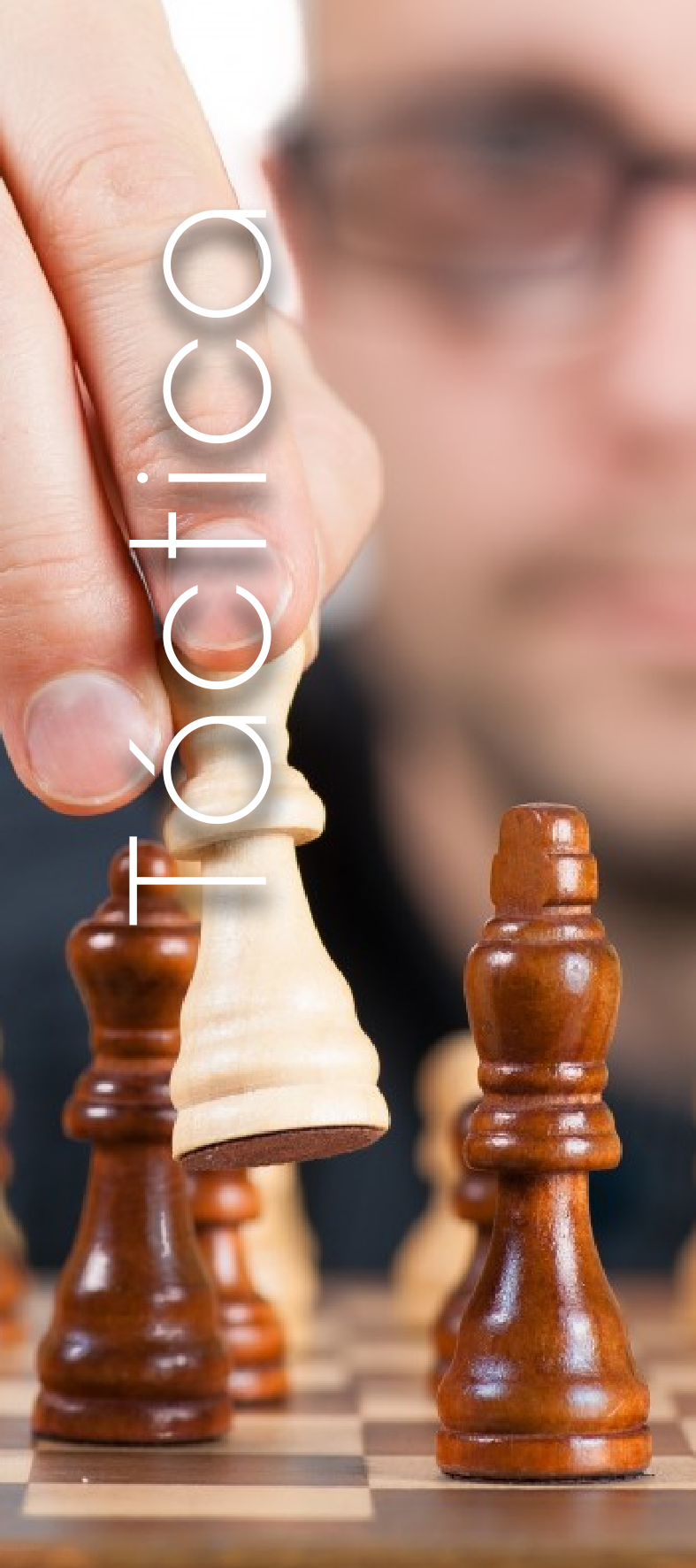 Sistema Educativo para el Emprendimiento: Táctica